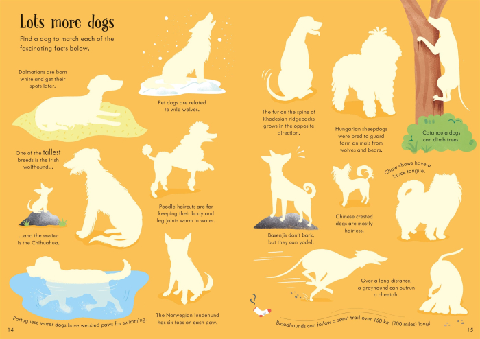 Little First Stickers Dogs and Puppies [6]