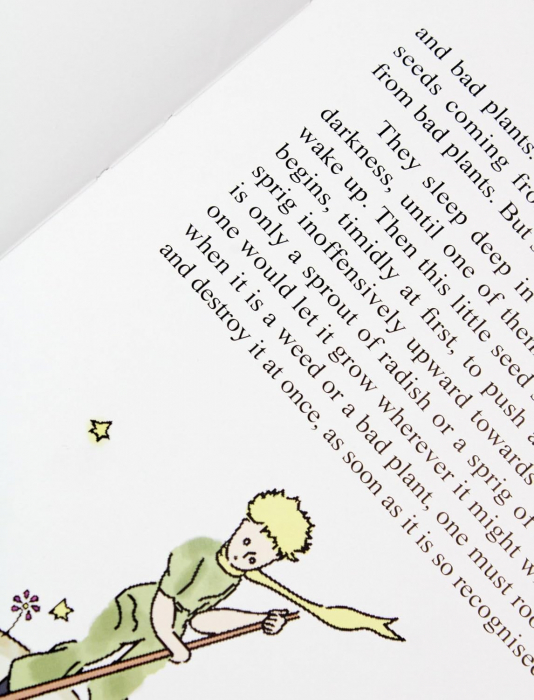 The Little Prince by Antoine de Saint-Exupéry - Ages 6+ - Hardback [3]