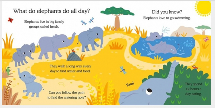 What Do Animals Do All Day?: Elephant: Lift the Flap Board Book [3]