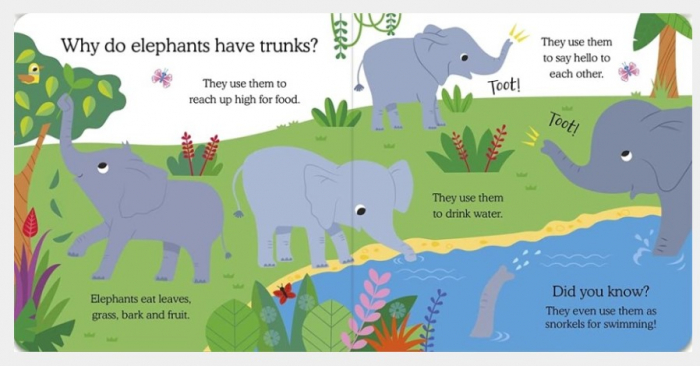 What Do Animals Do All Day?: Elephant: Lift the Flap Board Book [4]