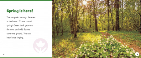 A year in the forest Anotimpuri in padure [3]