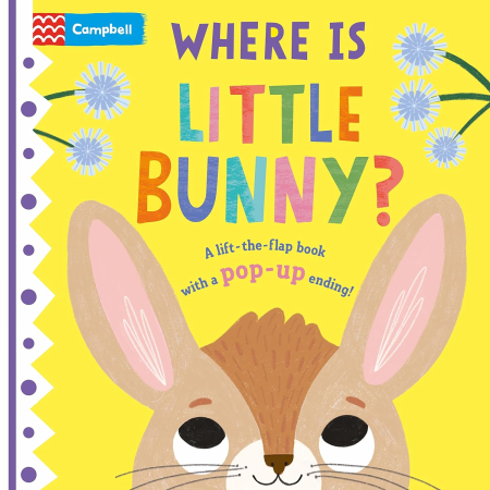 Toate Produsele - Carte cu clapete si o surpriza pop up Where is Little Bunny?: The lift-the-flap book with a pop-up ending!