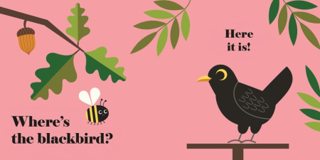 Where's the Puffin?: (An Interactive, Sensory Lift-the-Flap Book with Felt Flaps and a Mirror for Babies & Toddlers. Friendly Birds Include a Kingfisher, Blackbird, & Swan.) [2]