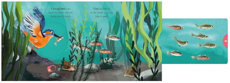 Carte cu glisor NT Big outdoors river [1]