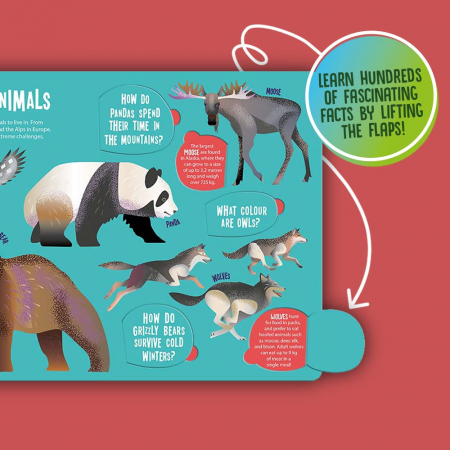 Cauta si gaseste Seek and find Animals cu lumina magica [2]