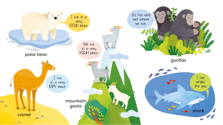 First Animals Book usborne [2]