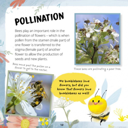 Little Bee: A Day in the Life of the Bee Brood (Really Wild Families) [3]