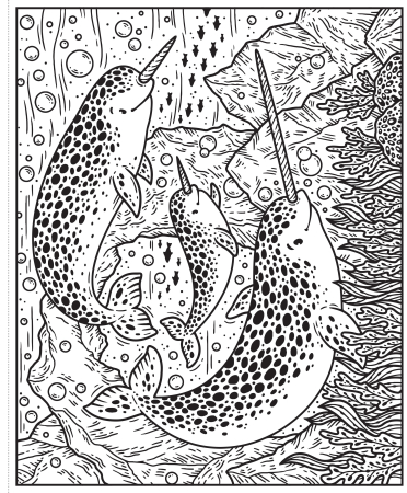 Narwhals and Other Sea Creatures Magic Painting Book [2]