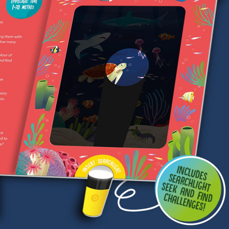 Seek and Find Ocean Animals (Seek and Find - Searchlight Books) [3]