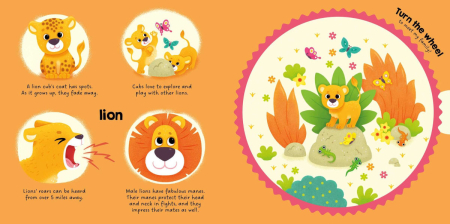 Wild Animals (My Magic Wheel) Board book [2]