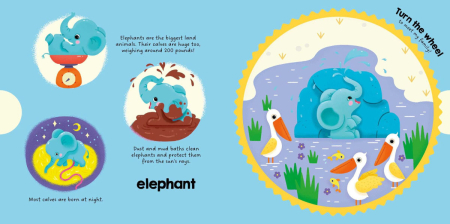 Wild Animals (My Magic Wheel) Board book [1]