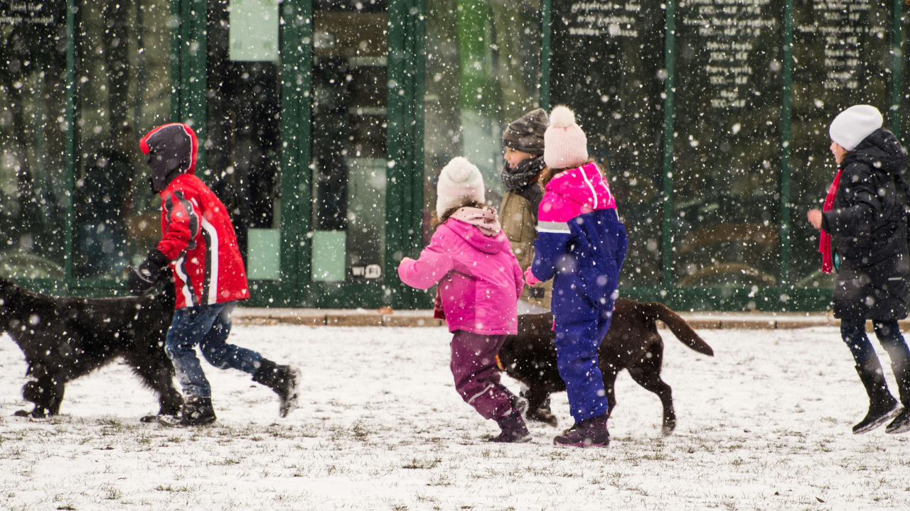 Este momentul să schimbi pantofii copilului - semne clare