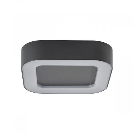 Tavan - Plafoniera pentru exterior grafit LED PUEBLA, 3000K, IP54, lungime 20 cm - NOWODVORSKI