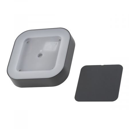 Plafoniera pentru exterior grafit LED PUEBLA, 3000K, IP54, lungime 20 cm - NOWODVORSKI [2]