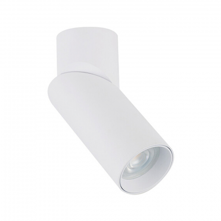 Iluminat tehnic / Spoturi - Spot mobil pentru tavan INDIA, alb, 5.6 cm - NOWODVORSKI 7858