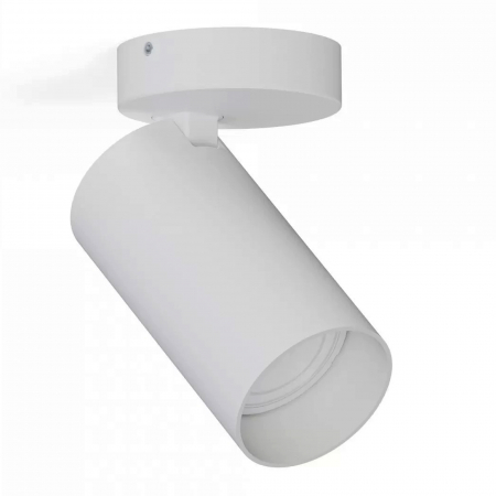 Iluminat tehnic / Spoturi - Spot mobil tavan MONO I, 13 cm