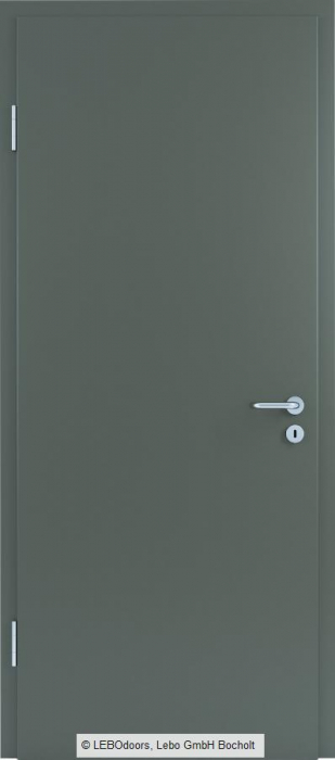 Usa de interior LEBOdoors vopsita colorat [8]