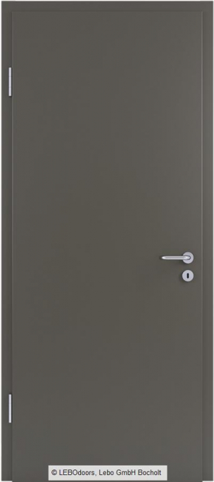 Usa de interior LEBOdoors vopsita colorat [7]