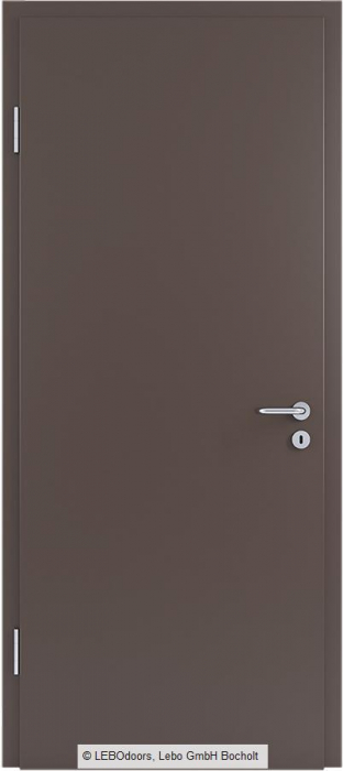 Usa de interior LEBOdoors vopsita colorat [5]