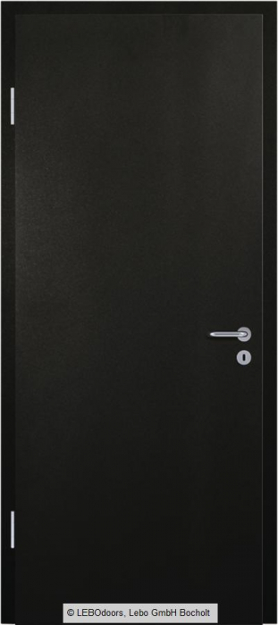 Usa de interior LEBOdoors vopsita colorat [4]