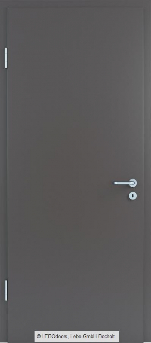 Usa de interior LEBOdoors vopsita colorat [6]