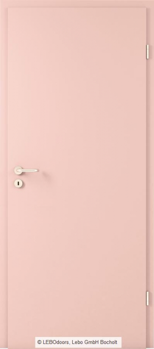 Usa de interior LEBOdoors vopsita colorat [13]