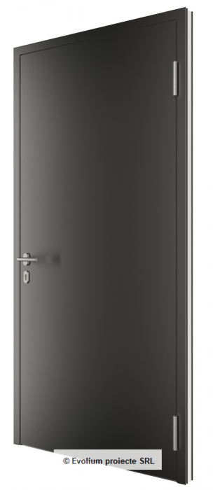 Ușa de intrare placata cu piatra. [2]