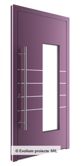 Usa de intrare cu frezari, decupaje cu sticla si maner inox [1]