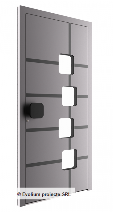 Usa de intrare cu frezari, decupaje cu sticla si maner inox [1]