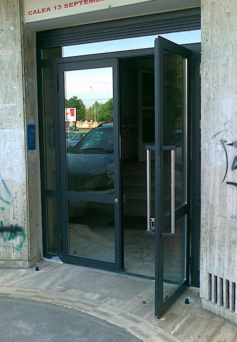 Usa cu sticla din profile metalice [8]