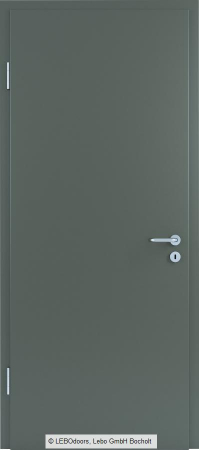 Usa de interior LEBOdoors vopsita colorat [7]