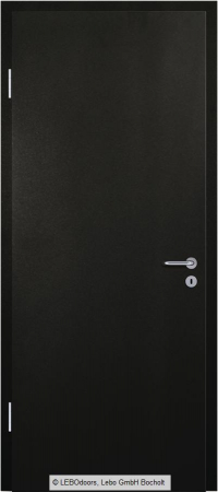 Usa de interior LEBOdoors vopsita colorat [3]