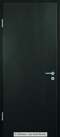 Usa de interior LEBOdoors vopsita colorat [1]