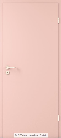 Usa de interior LEBOdoors vopsita colorat [12]