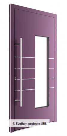 Usi de intrare - Usa de intrare cu frezari, decupaje cu sticla si maner inox
