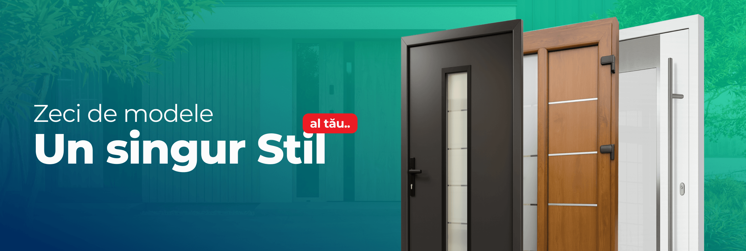 Usi de intrare tbi