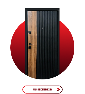 UȘI EXTERIOR
