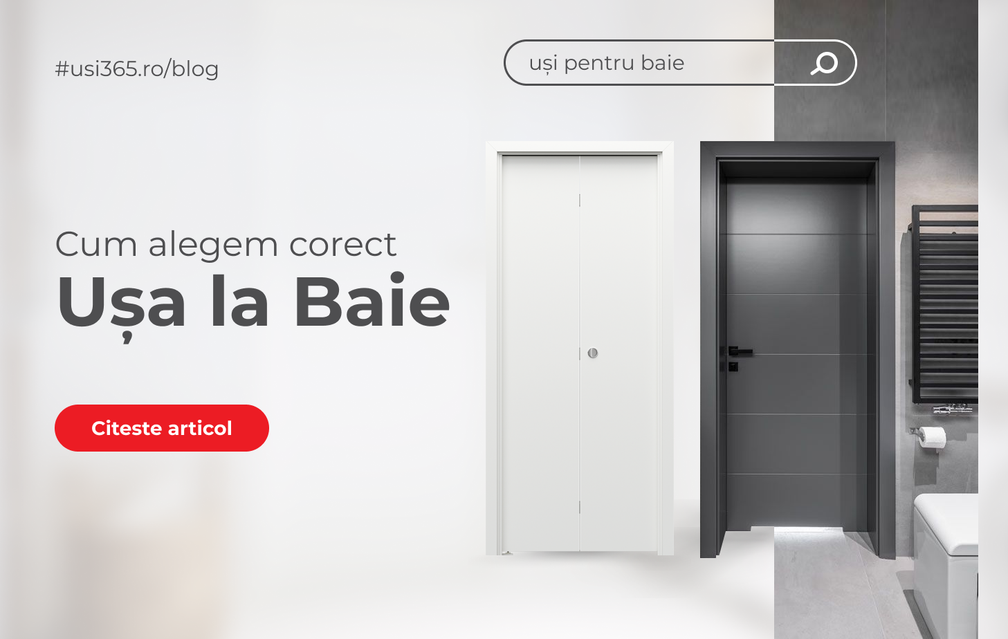 Ce ușă să pun la baie? Ghid complet 'Cum alegem usa pentru baie'