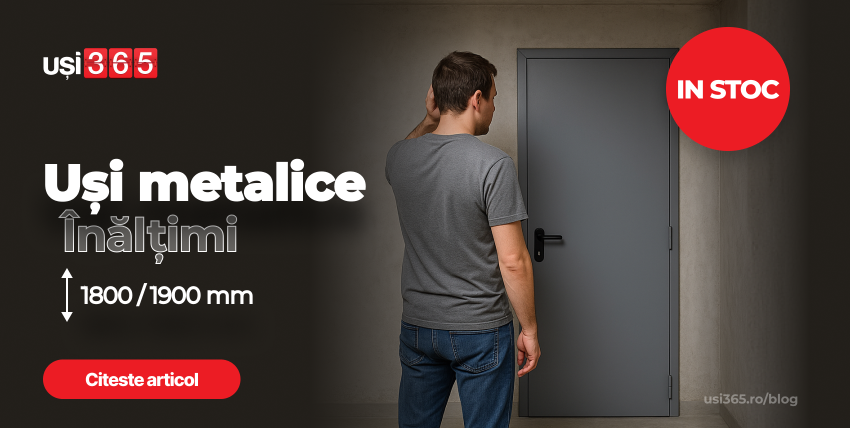 Usi metalice tehnice cu inaltime de 1800 sau 1900 mm – Solutia ideala cand spatiul nu e standard, dar nevoia e reala