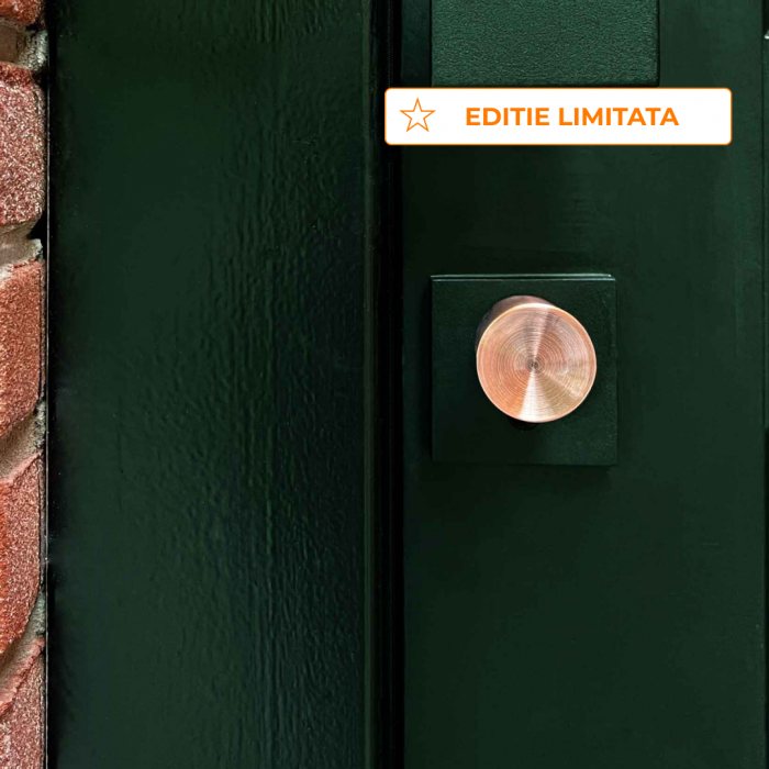 Cilindru SMART pentru usa intrare - Sistem keyless prin aplicatie [5]