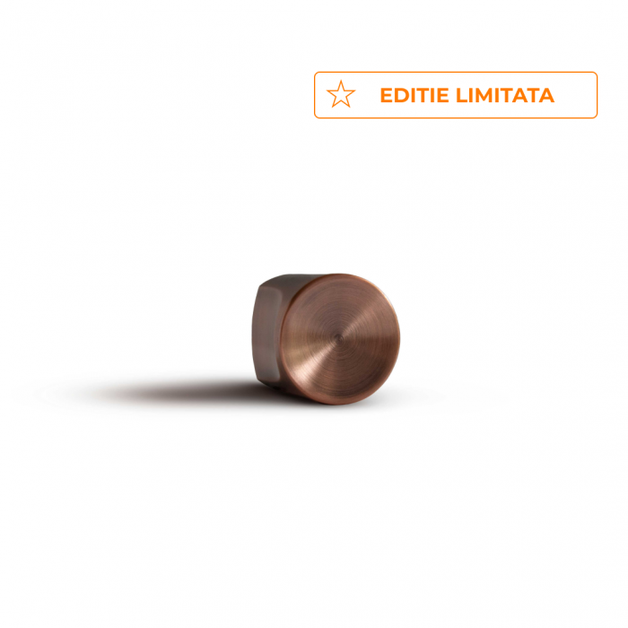 Cilindru SMART pentru usa intrare - Sistem keyless prin aplicatie [2]