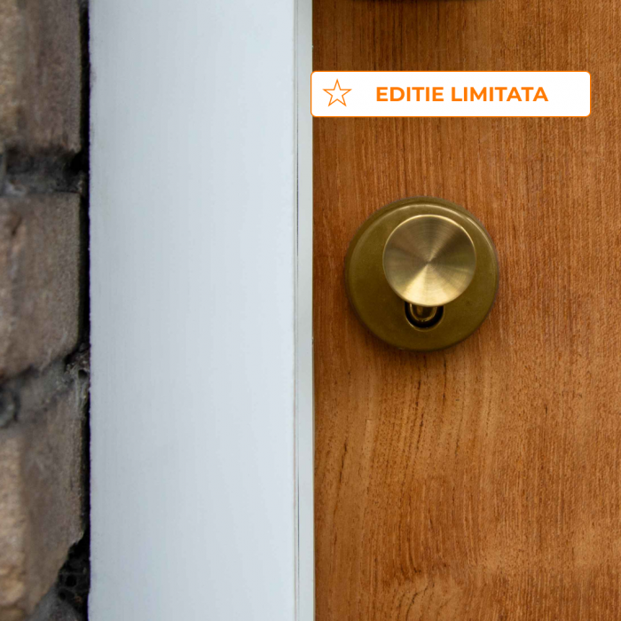 Cilindru SMART pentru usa intrare - Sistem keyless prin aplicatie [4]