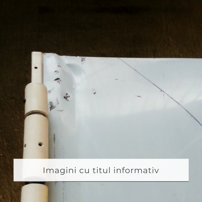 Usa Antifoc EI60/120 - Agrement montaj beton - Resigilata cu grad mediu de uzura [8]