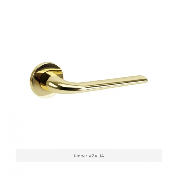 Usa de interior PORTA DESIRE cu insertii metalice aurii - Model 5 [6]