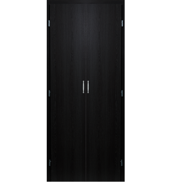 Usa debara dubla / Usa pentru camara [12]