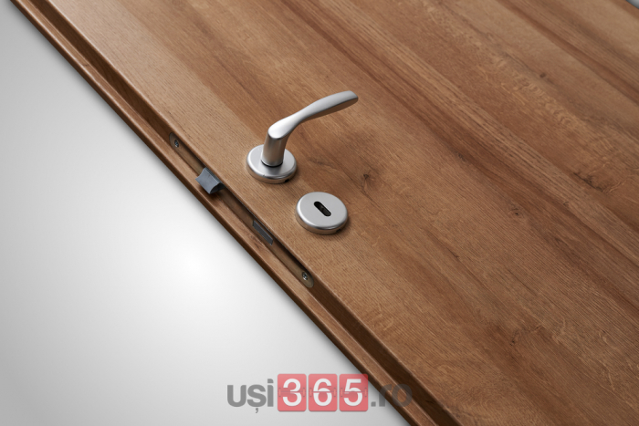 Usa glisanta HDF aplicata pe perete - Colectia VINTAGE 5.4 [3]