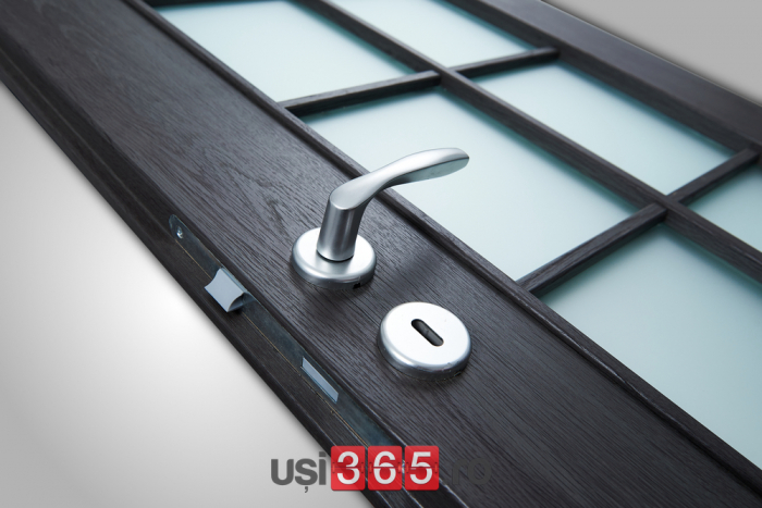 Usa HDF cu toc reglabil din MDF/PAL - Colectia VINTAGE 5.4 - Culoare Gri Antracit [4]