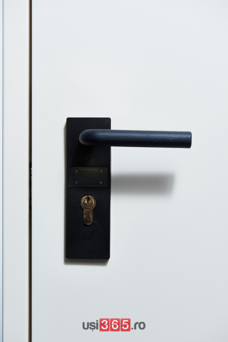 Usa metalica dubla blat 40 mm din otel multifunctionala pentru boxa RAL 9001 / Alb Crem [6]