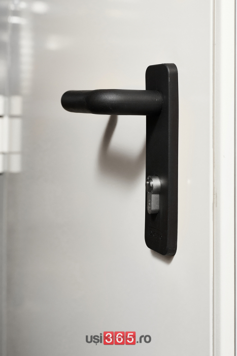 Usa metalica blat 60 mm intrare secundara - Gri Antracit RAL 7016 - Usa multifunctionala [4]