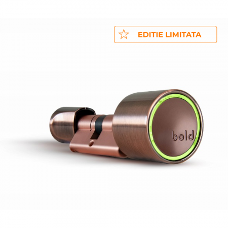 ACCESORII UȘI - Cilindru SMART pentru usa intrare - Sistem keyless prin aplicatie